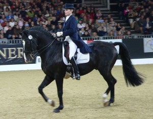 Ridsport 2