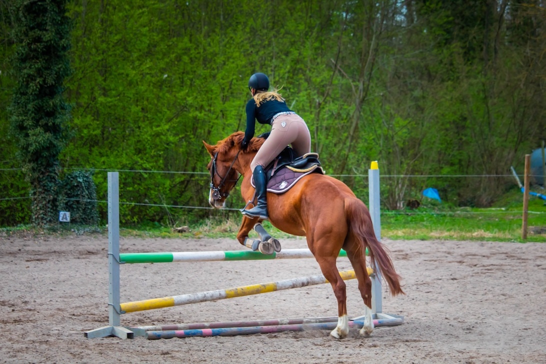 En ryttare i ridkläder som balanserar på en stor pilatesboll.